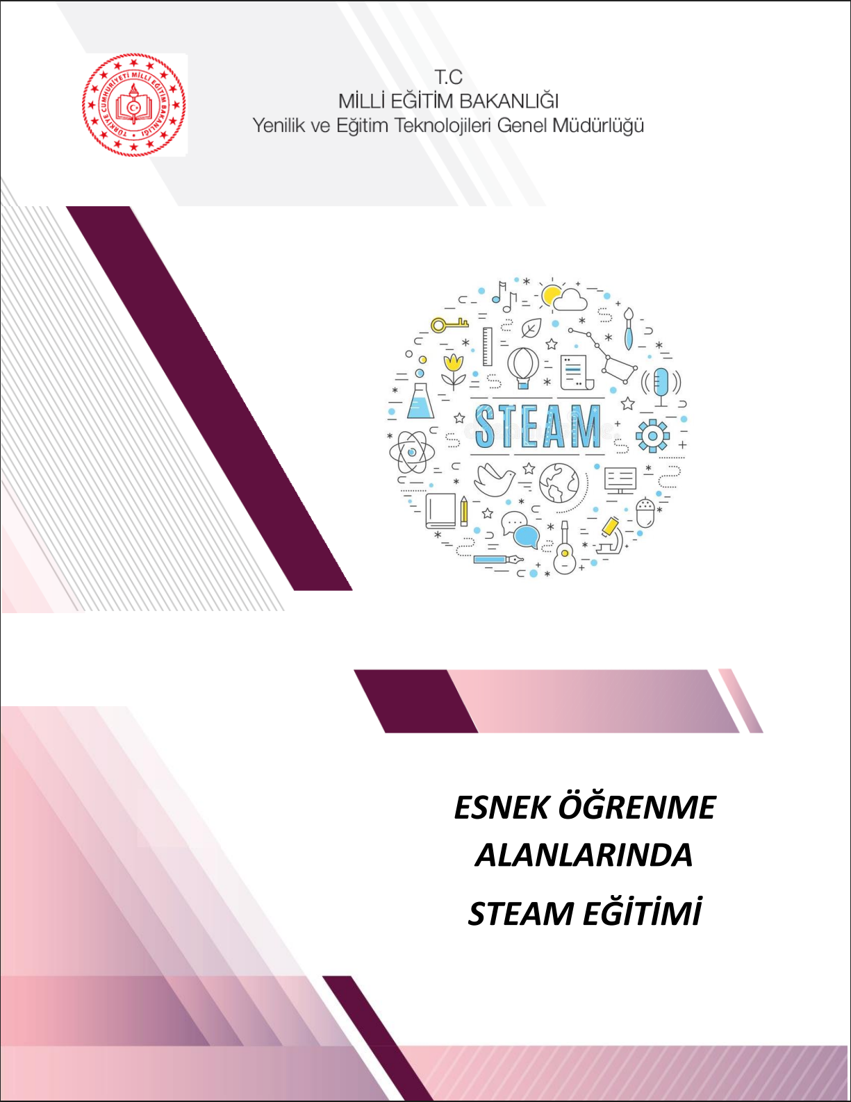 Esnek Öğrenme Alanlarında STEAM Eğitimi